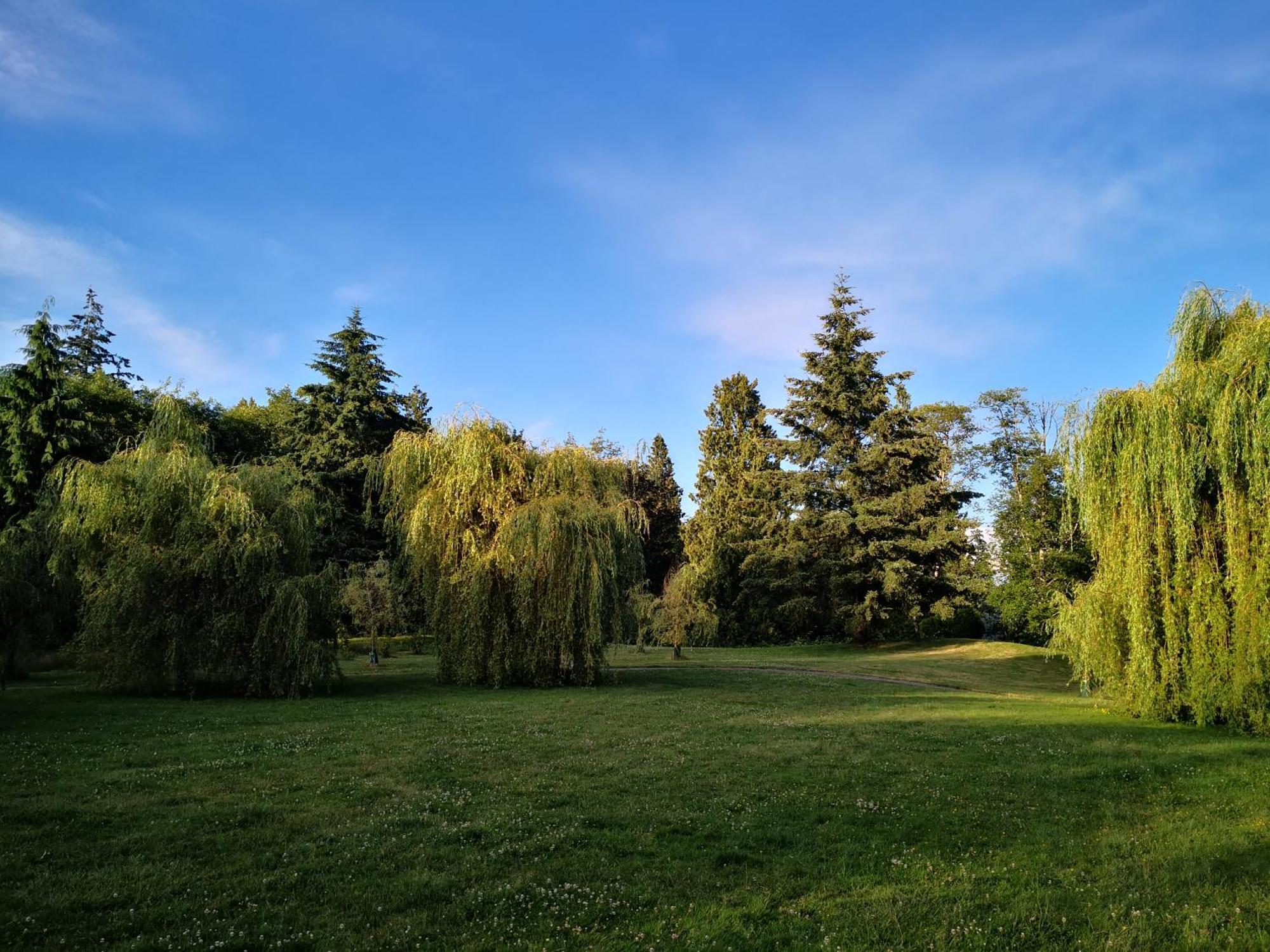 Entire Forest Home Near Nature & Amenities Суррей Экстерьер фото
